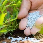 شوک جنگ علیه ایران بر زنجیره کود؛ زنگ خطر برای امنیت غذایی جهانی