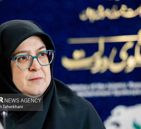 مهاجرانی: برق نیروگاه‌های تازه تاسیس به صنایع اختصاص می‌یابد