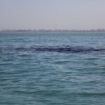 تداوم پاکسازی آلودگی نفتی در سواحل جنوب قشم