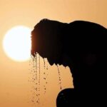 تلفات بی‌سابقه گرما در آلمان