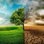 زنگ خطر ال‌نینو برای اقتصاد جهان؛ شرکت‌های بزرگ در آماده‌باش