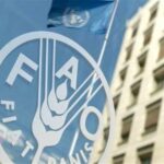فائو هشدار داد: جهان با افزایش قیمت مواد غذایی مواجه است