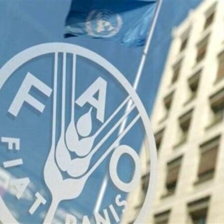 فائو هشدار داد: جهان با افزایش قیمت مواد غذایی مواجه است
