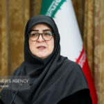مهاجرانی: شرط تداوم یارانه نقدی و کالابرگ اقامت در ایران است