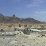 تانکر آب غیرمجاز توقیف و به حیات‌وحش پارک ملی کلاه‌قاضی اهدا شد