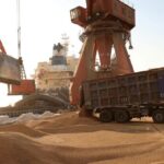 ثبت سفارش واردات گندم معمولی برای تأمین نیاز صنف و صنعت از ۱۸ شهریور
