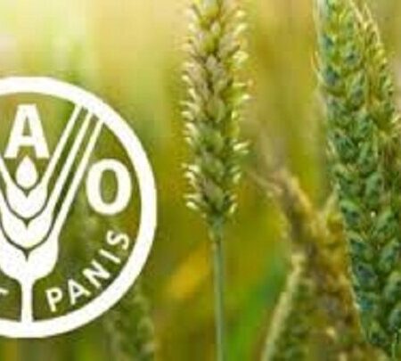 شاخص قیمت جهانی مواد غذایی در مسیر صعود؛ شکر پیشتاز گرانی
