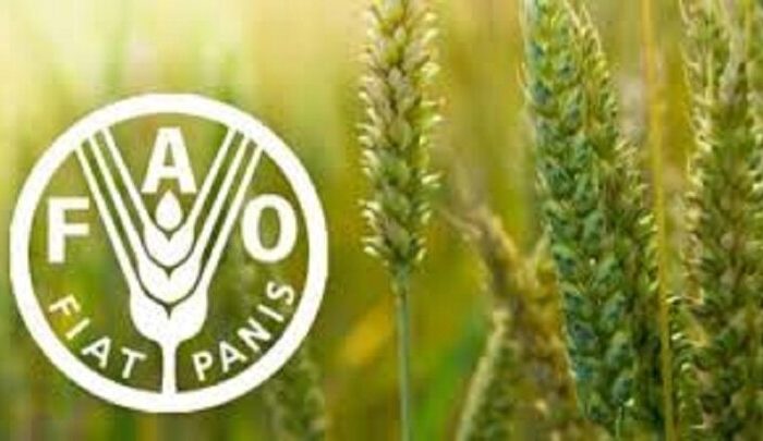 شاخص قیمت جهانی مواد غذایی در مسیر صعود؛ شکر پیشتاز گرانی