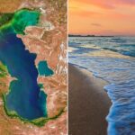 منابع ژنتیکی خزر؛ محور راهبردی همکاری‌های زیست‌محیطی پنج کشور ساحلی