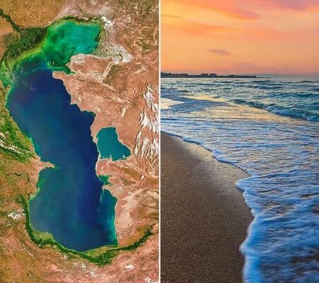 منابع ژنتیکی خزر؛ محور راهبردی همکاری‌های زیست‌محیطی پنج کشور ساحلی
