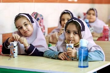 کم‌تحرکی دانش‌آموزان؛ زنگ خطر چاقی و دیابت / شیر مدارس امسال هم توزیع می‌شود / برنامه جدید وزارت بهداشت برای سلامت دانش‌آموزان