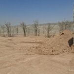 شناسایی منشأ بوی شمال شهر اصفهان؛ ۳۰۰ تُن خاک آلوده پاکسازی شد
